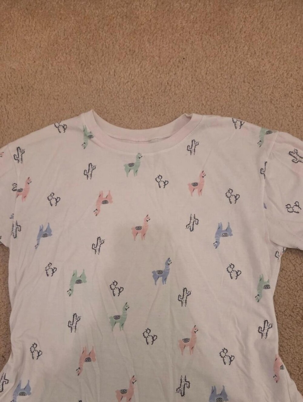 Awake White Tee with Pastel Llama Print